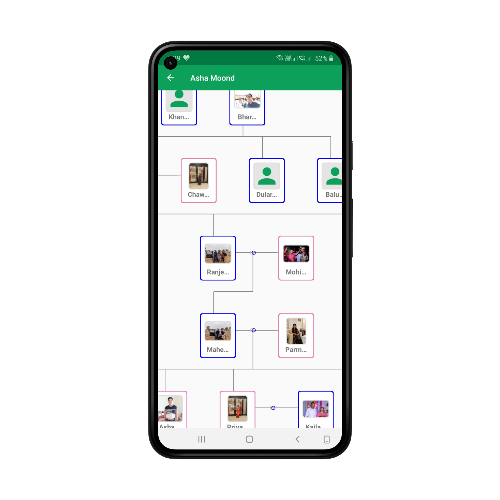 Photo of Family Tree in Familybook App